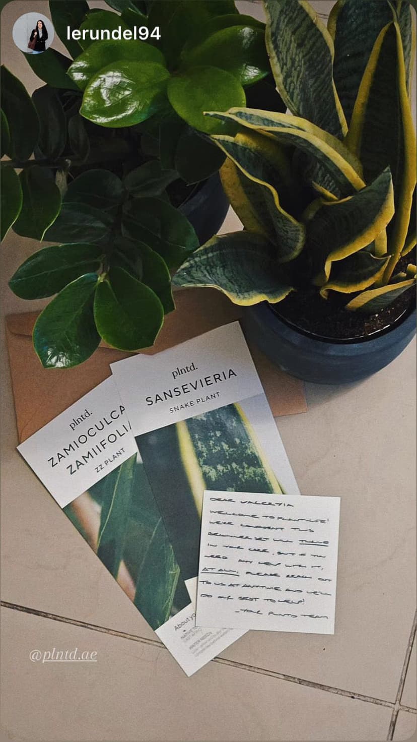 Plants with care cards