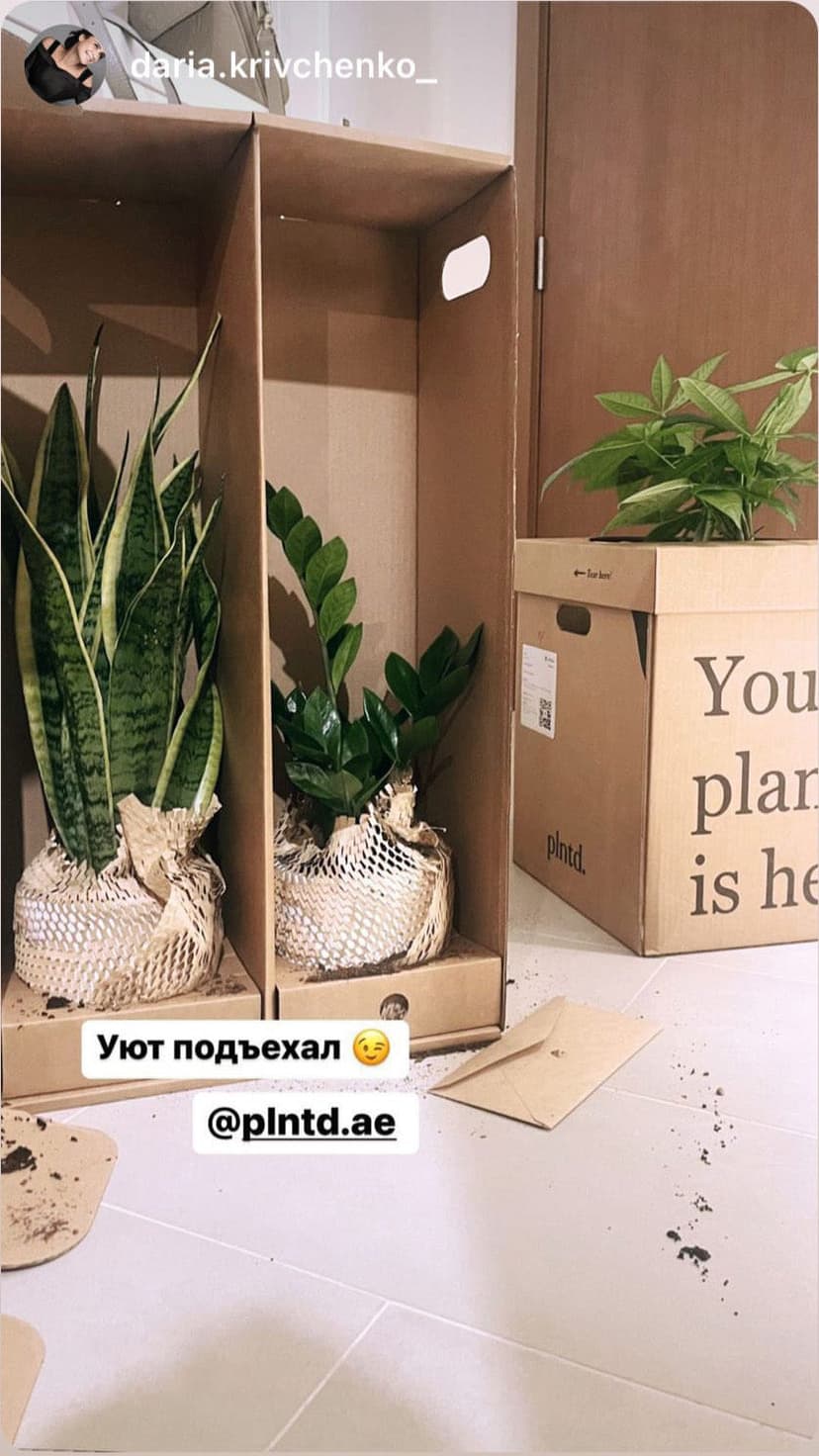 Unboxing plants