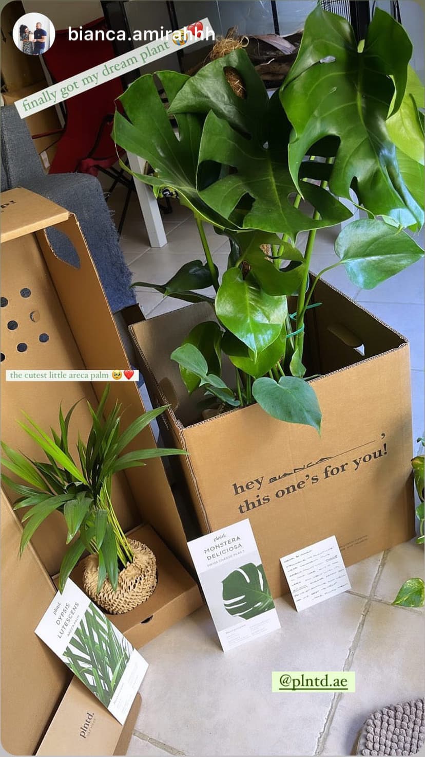 Plants unboxed