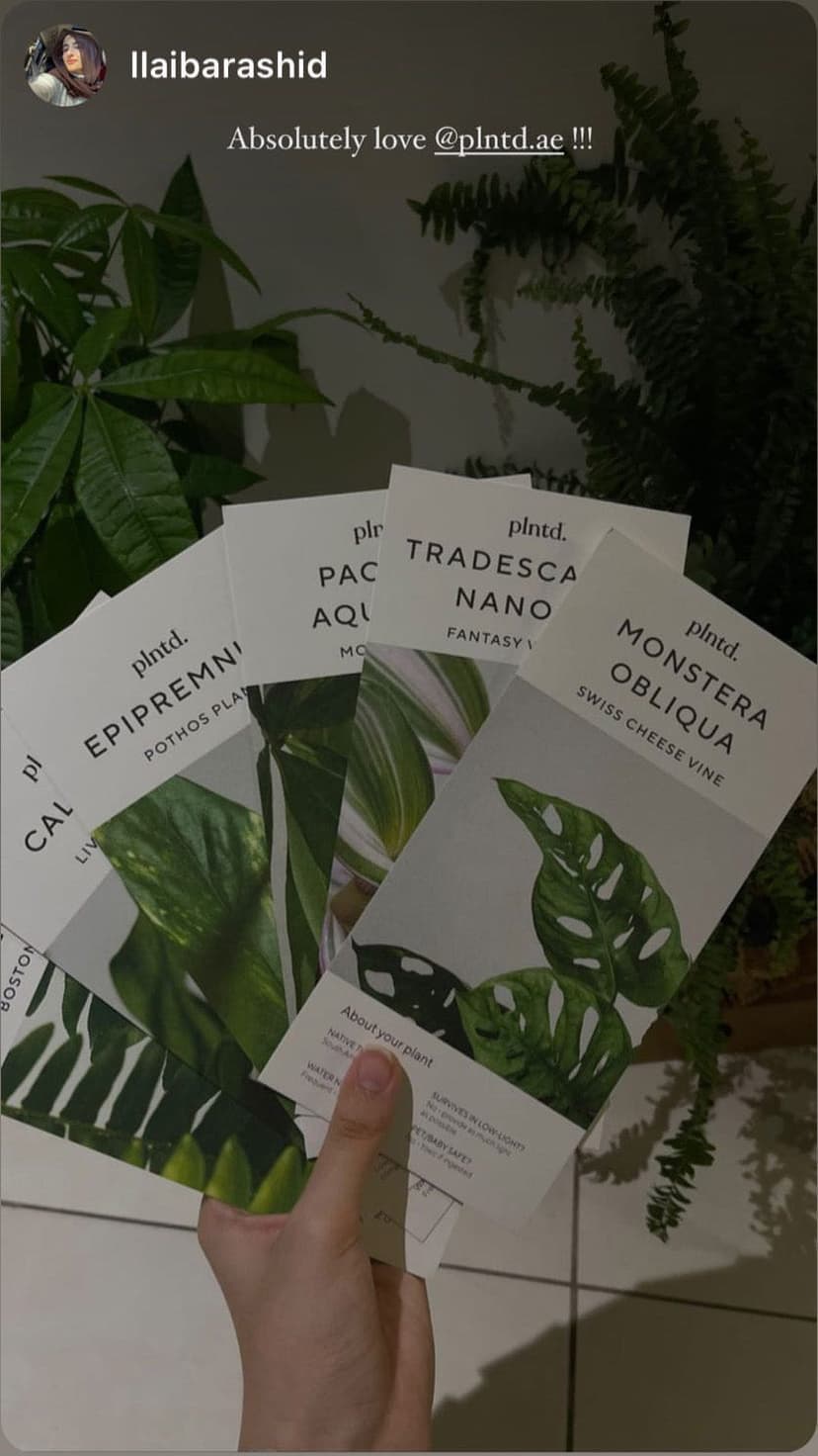 Plant care cards