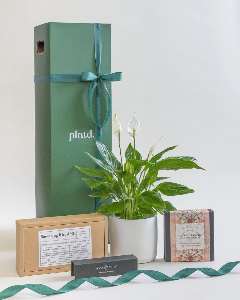 Meditate & Chill Set