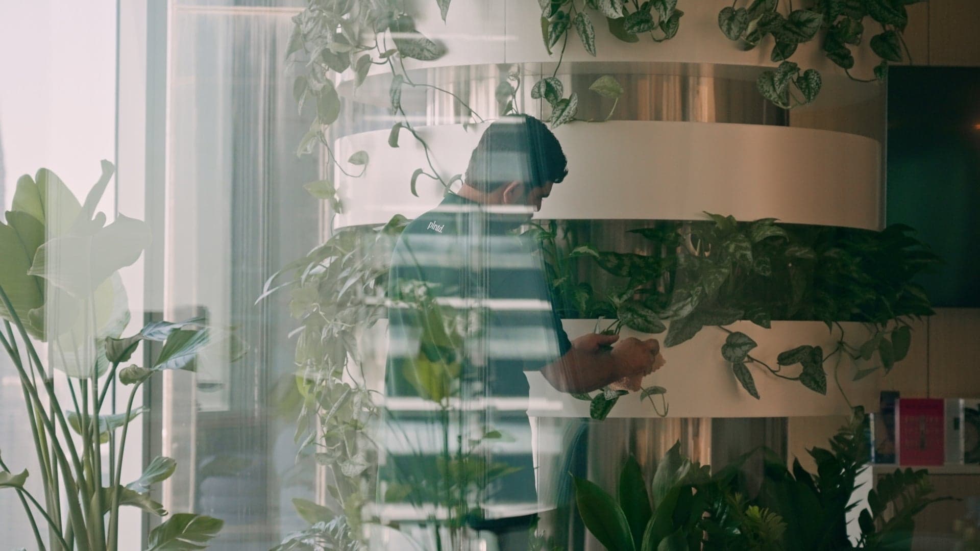 Office with plants